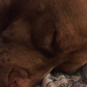 Meet your Posher, William